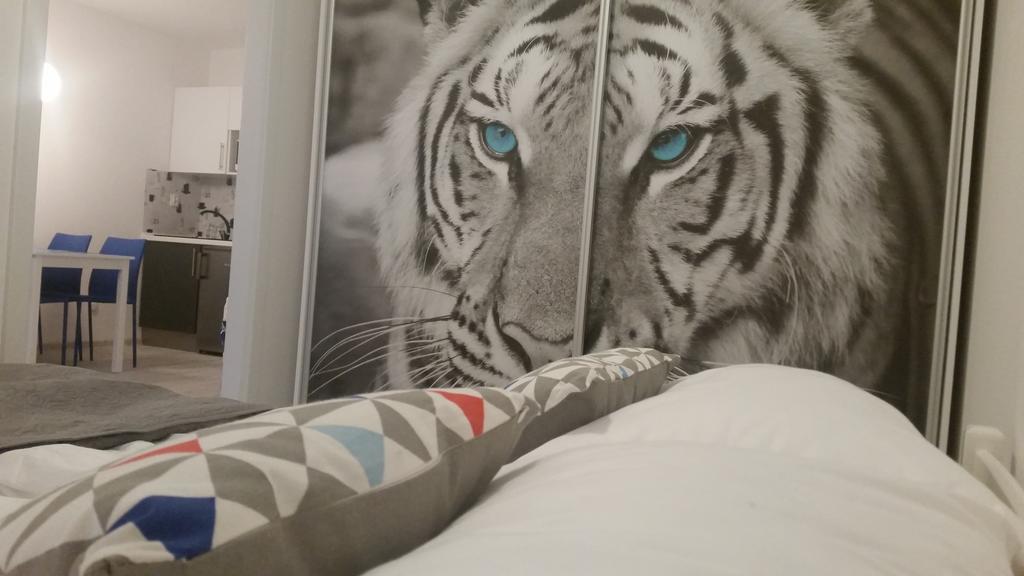 شتشيتسين Bedroom Apartments Krzywoustego 14 الغرفة الصورة